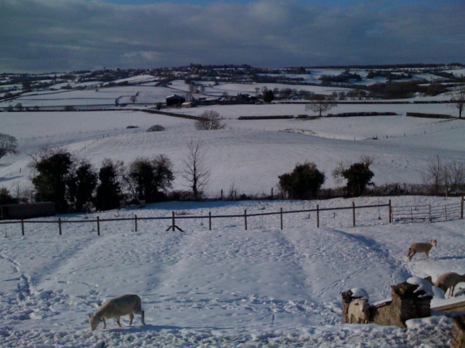T'S At Lower Rudloe Farm Pension Corsham Buitenkant foto